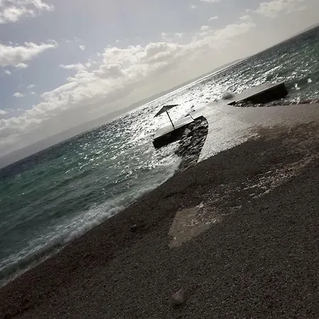 Trstenik